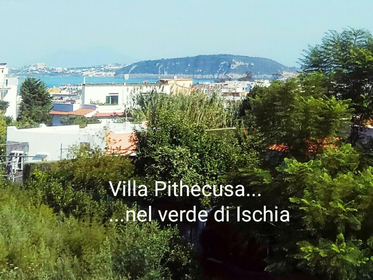 Villa Pithecusa Ίσκια Εξωτερικό φωτογραφία